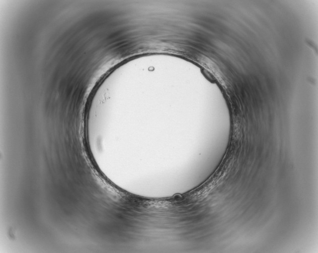 X0000096731136200802261447