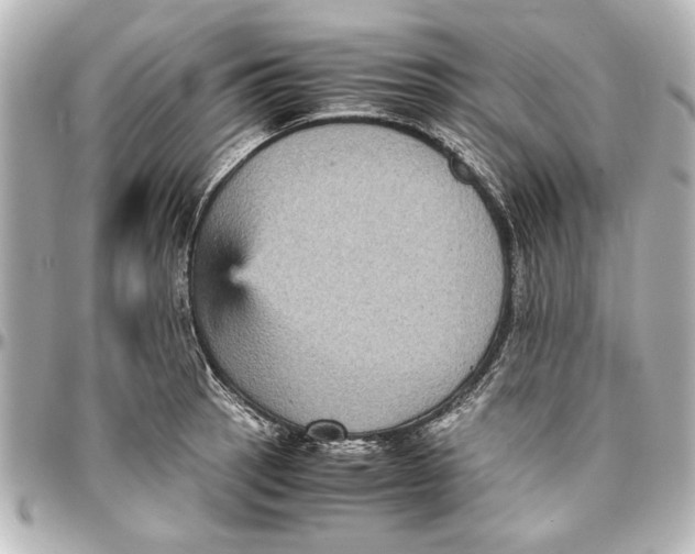 X0000096731137200802261447