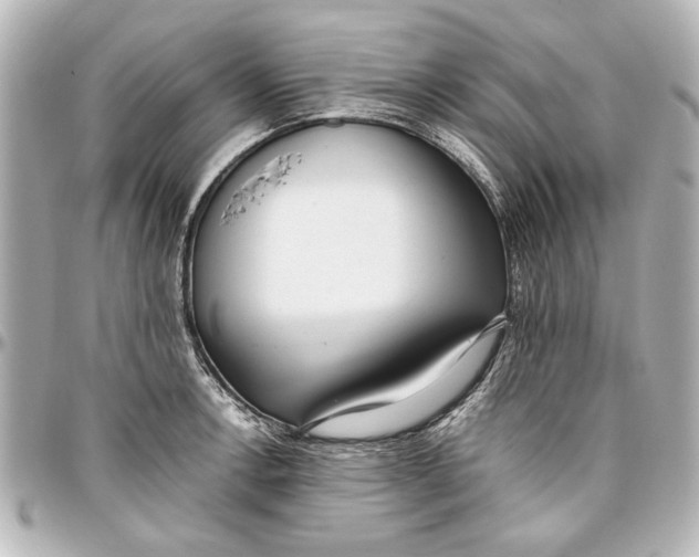 X0000096731138200802261447