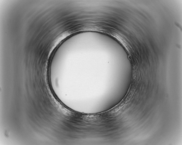 X0000096731139200802261447