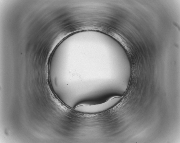 X0000096731140200802261447