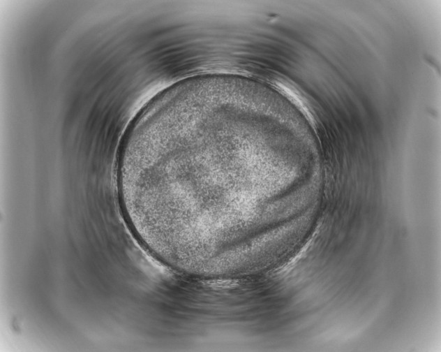 X0000096731141200802261447