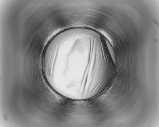 X0000096731142200802261447