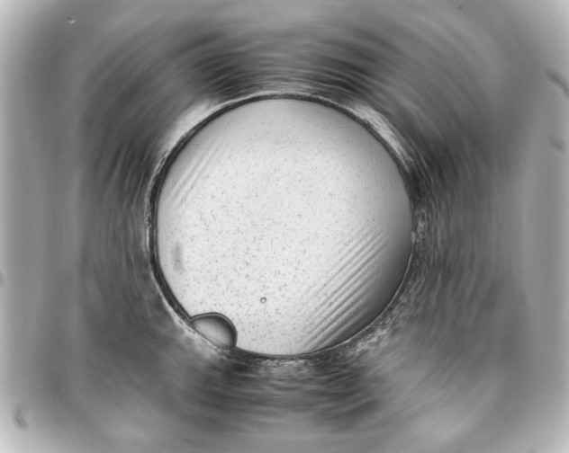 X0000096731143200802261447