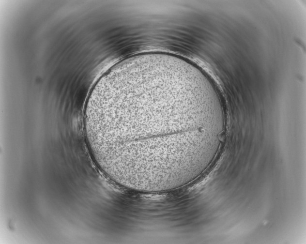 X0000096731145200802261447