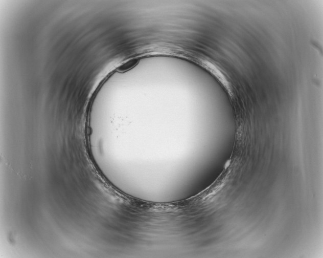 X0000096731146200802261447