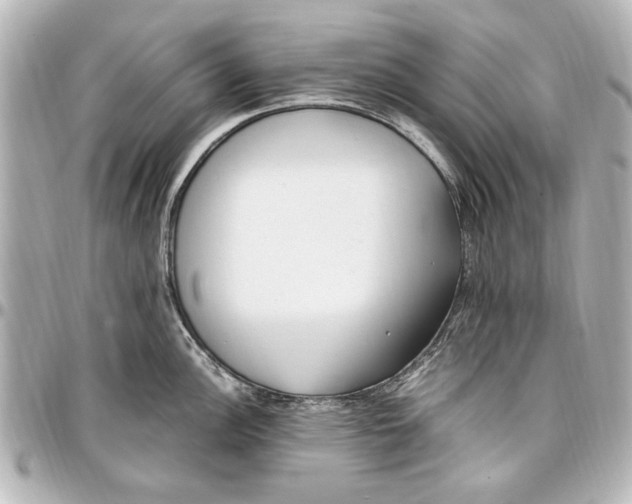 X0000096731148200802261447