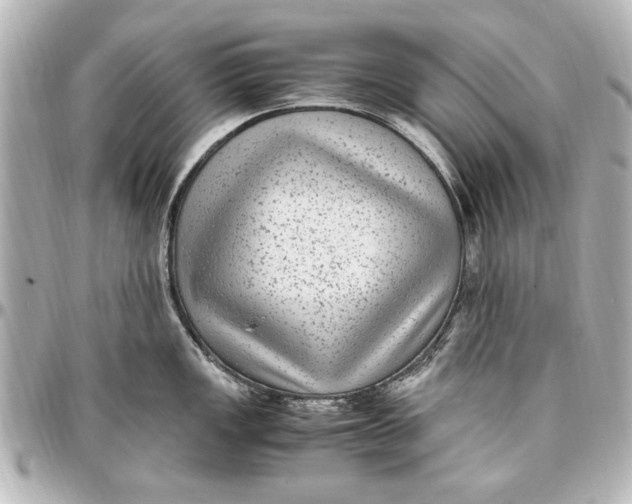 X0000096731149200802261447