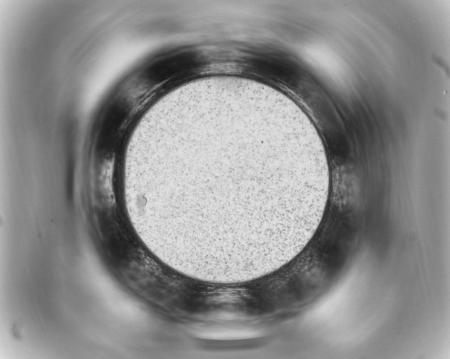 X0000096731150200802261447