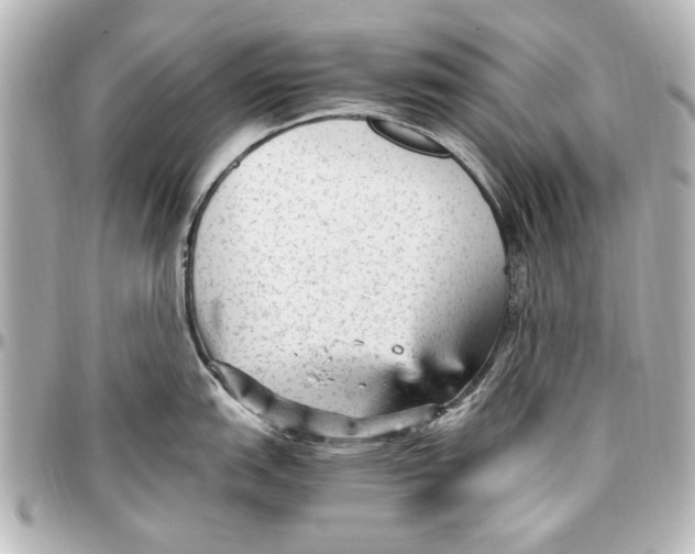 X0000096731151200802261447