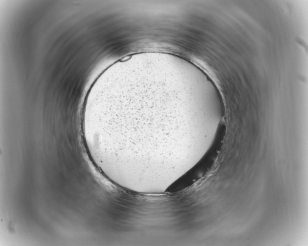 X0000096731152200802261447