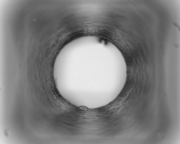 X0000096731153200802261446