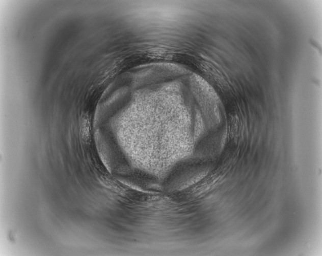 X0000096731154200802261446