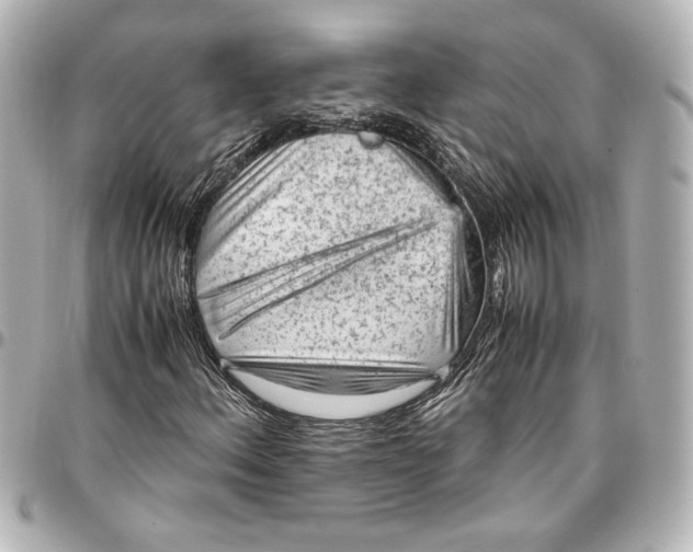 X0000096731156200802261446