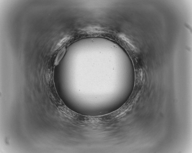 X0000096731157200802261446