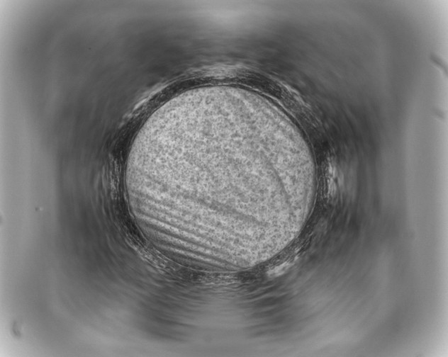 X0000096731158200802261446