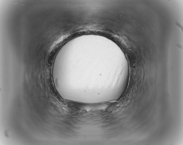 X0000096731159200802261446