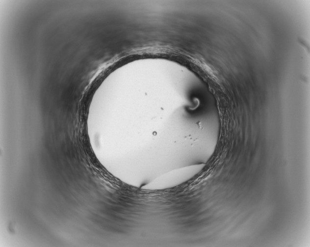 X0000096731160200802261446