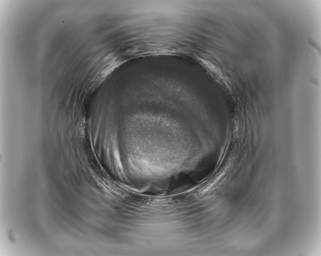 X0000096731161200802261446