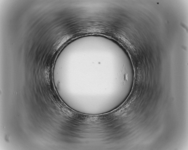 X0000096731162200802261446