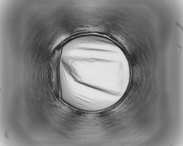 X0000096731163200802261446