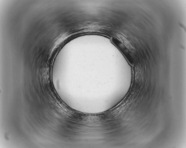 X0000096731164200802261446