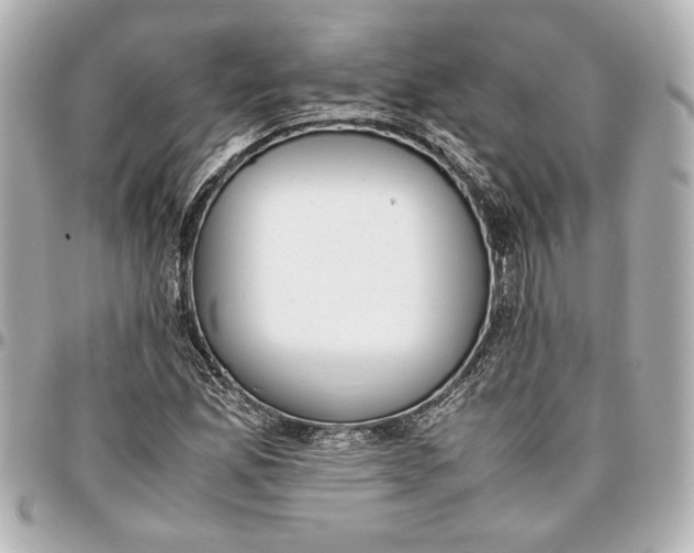 X0000096731165200802261446