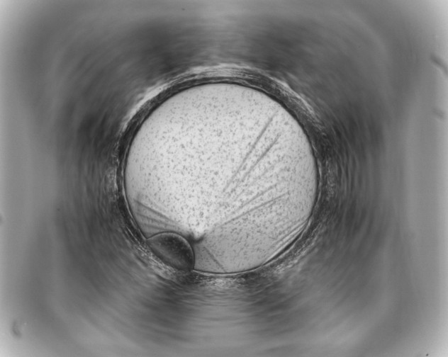 X0000096731166200802261446