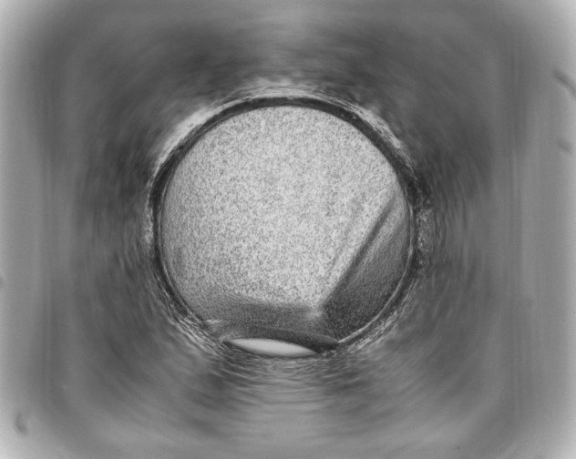 X0000096731167200802261446