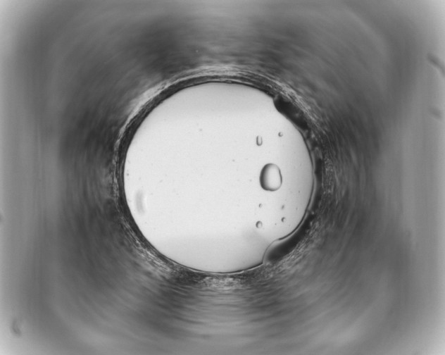 X0000096731168200802261446