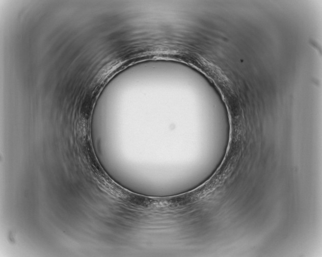 X0000096731169200802261446