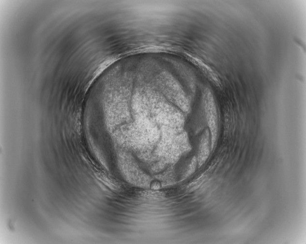 X0000096731170200802261446