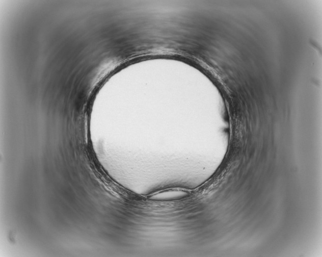 X0000096731171200802261446