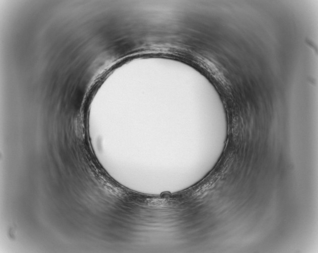 X0000096731172200802261446