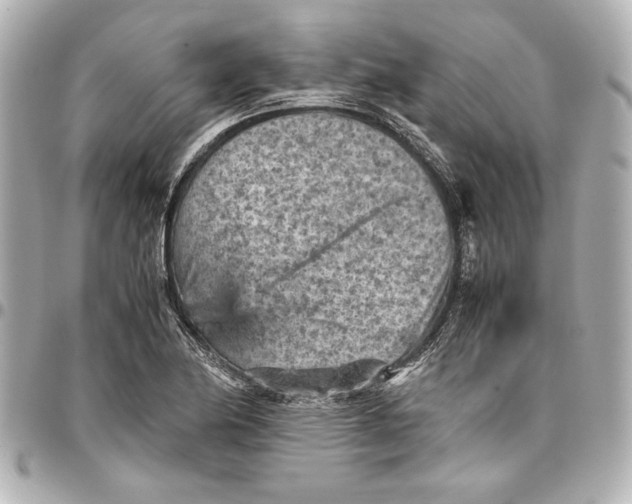 X0000096731174200802261446