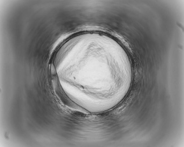 X0000096731175200802261446