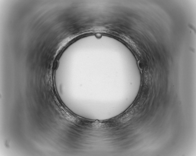 X0000096731176200802261446