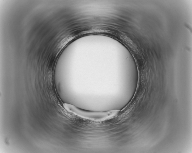 X0000096731177200802261446