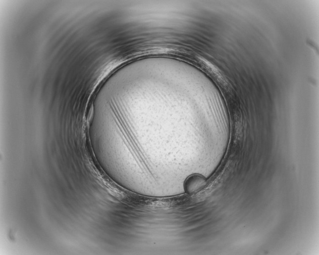 X0000096731178200802261446