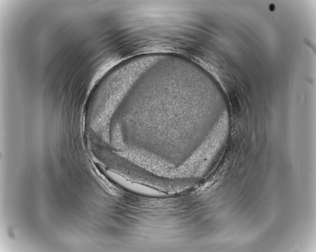 X0000096731179200802261446