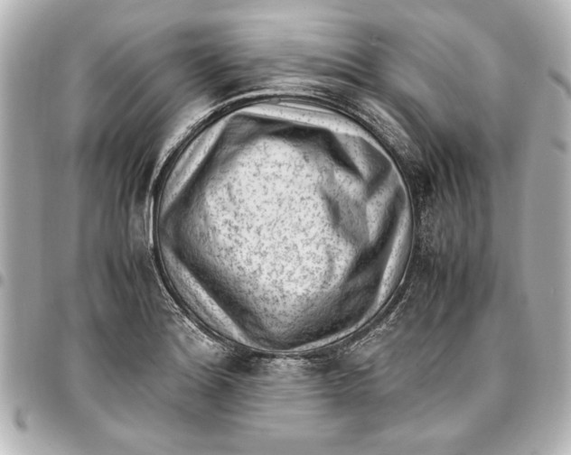 X0000096731180200802261446