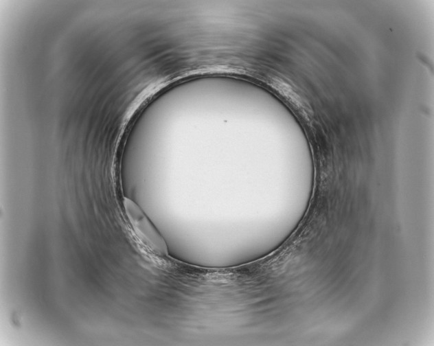 X0000096731181200802261446