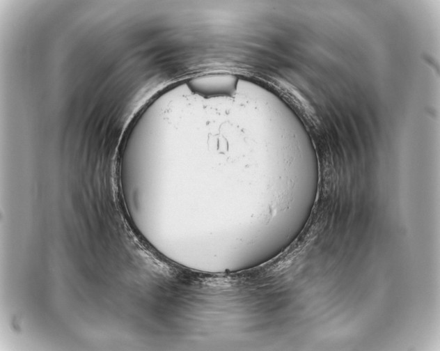 X0000096731182200802261446