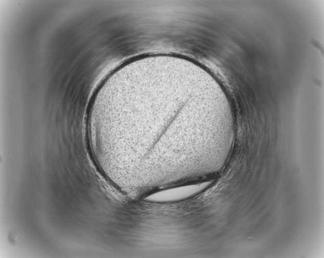 X0000096731183200802261446