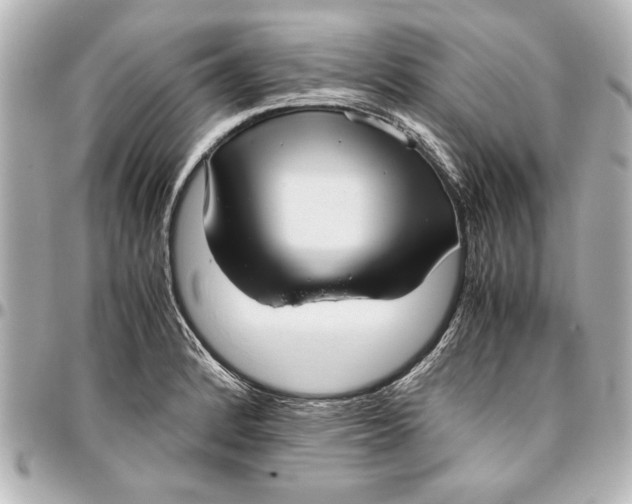 X0000096731184200802261446