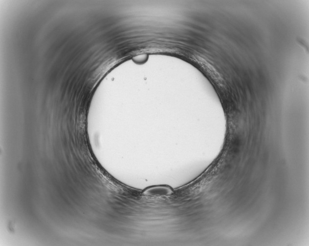 X0000096731185200802261445