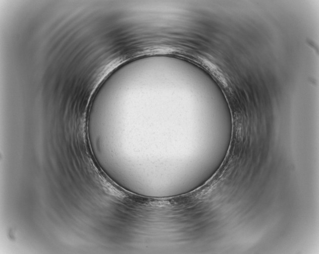 X0000096731186200802261445