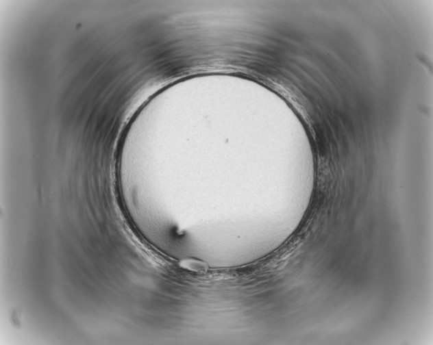 X0000096731187200802261445