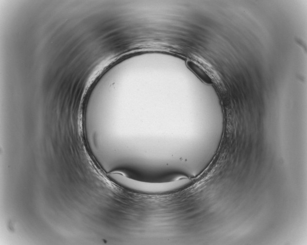 X0000096731188200802261445