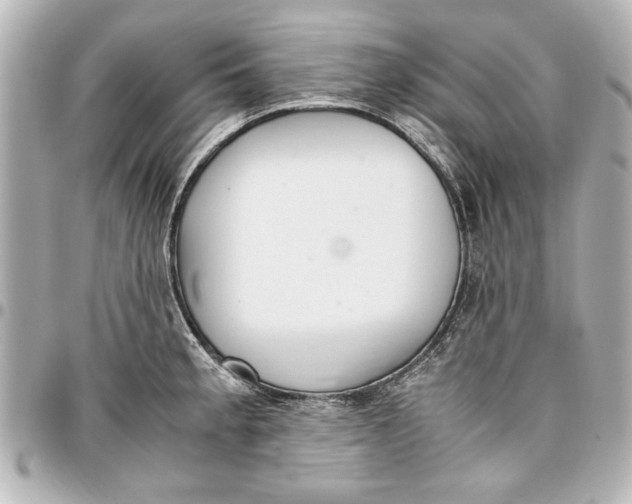 X0000096731189200802261445